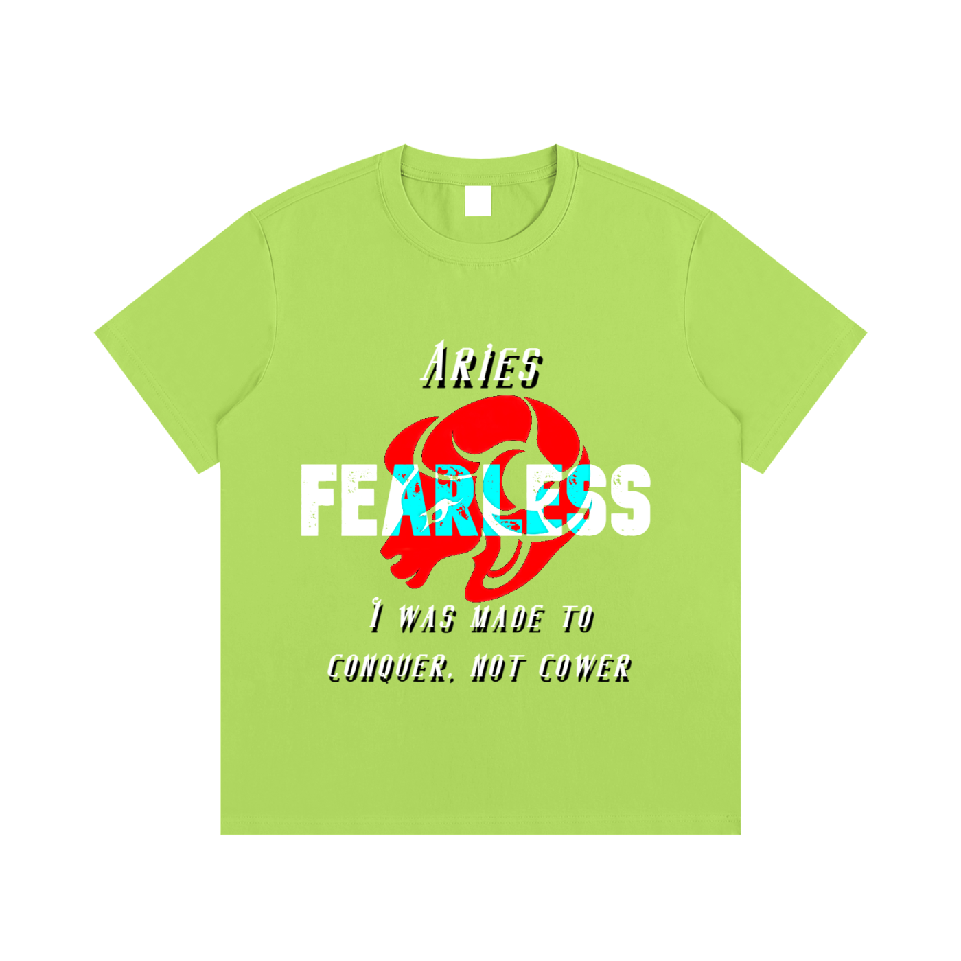 Aries T-Shirt