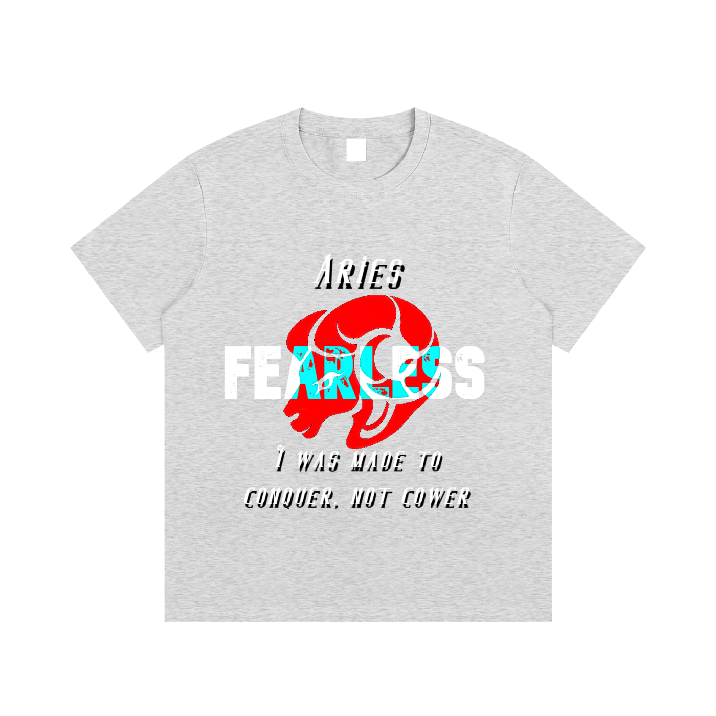 Aries T-Shirt
