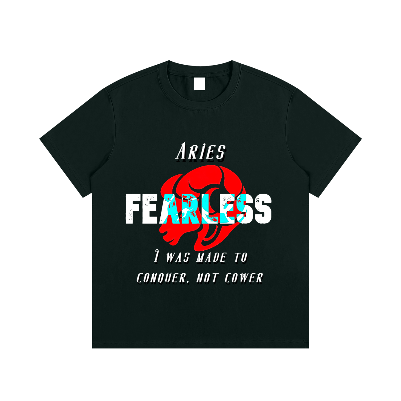 Aries T-Shirt