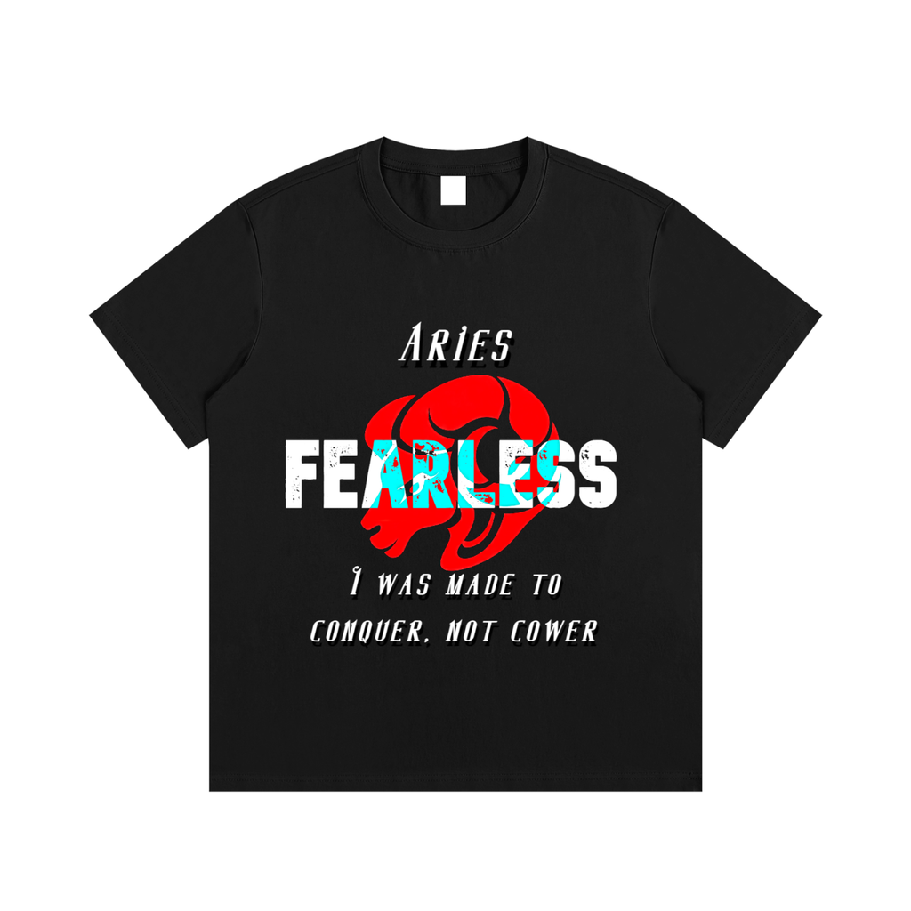 Aries T-Shirt