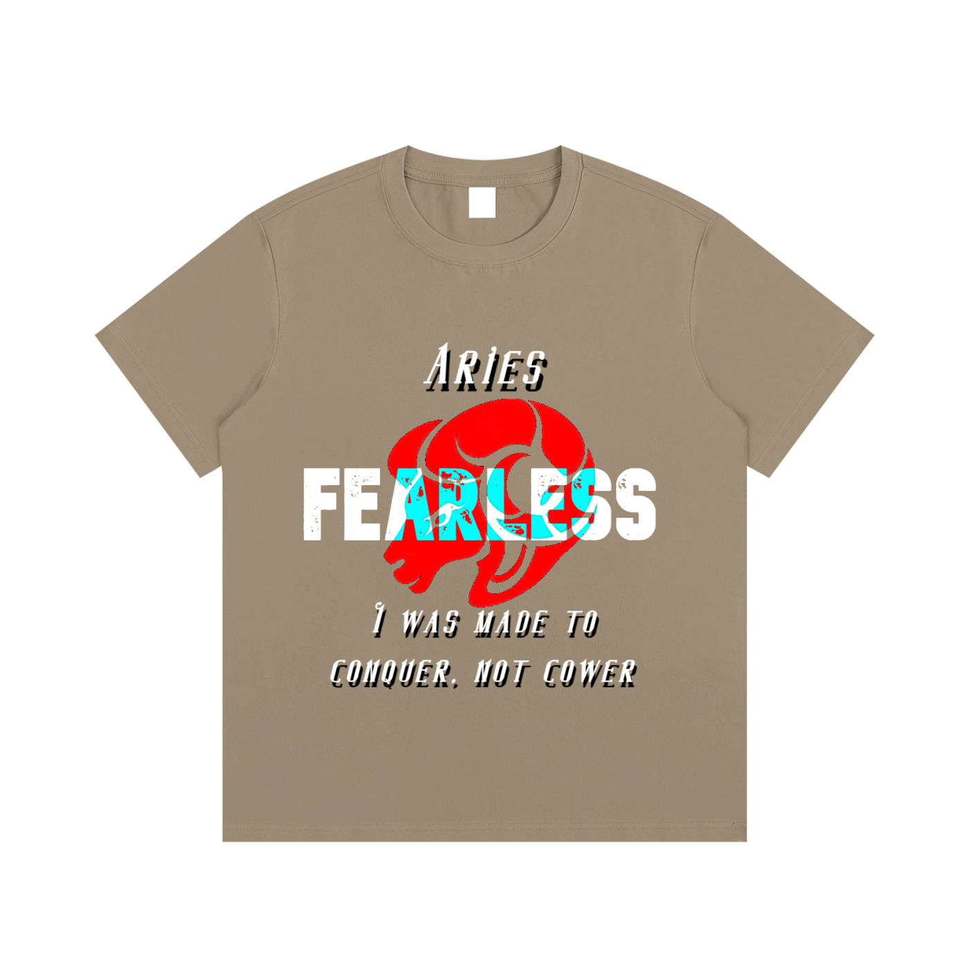 Aries T-Shirt