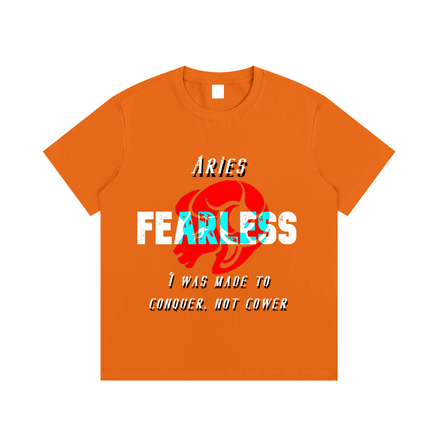 Aries T-Shirt