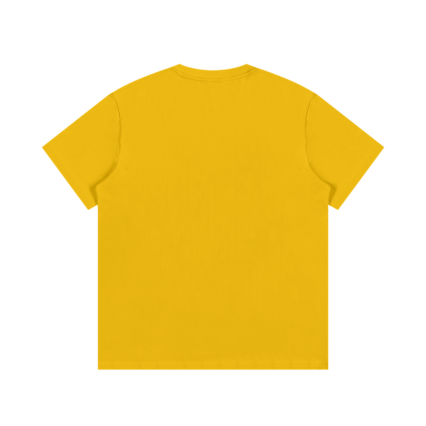 Sagittarius T-Shirt