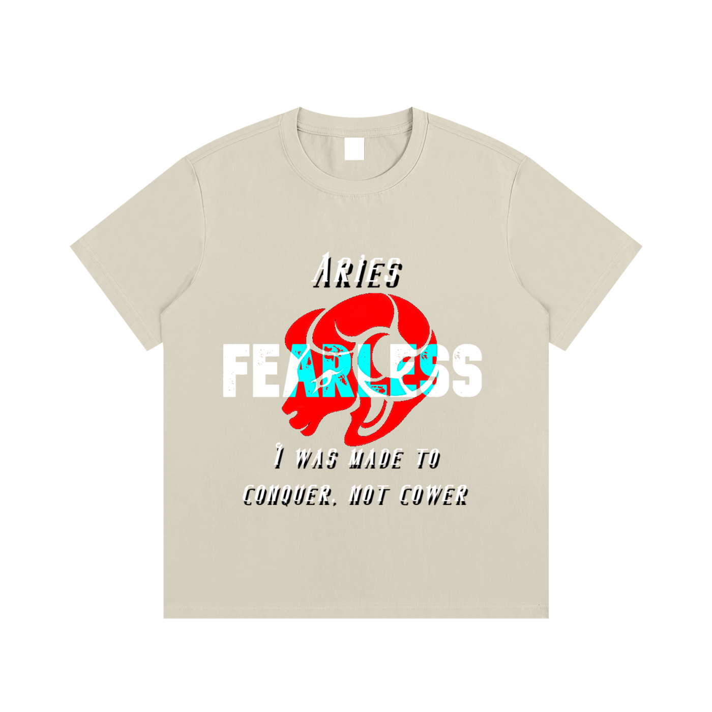 Aries T-Shirt